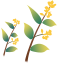 164405f1w0n1h6u1f6a1vp.png