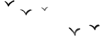 083154ent4zhyuqf44quf9.png