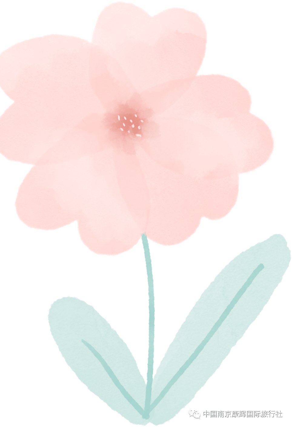 182319x9ewi6wsys6w8see.png