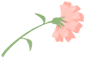 090654y8bja75lklw8s07q.png