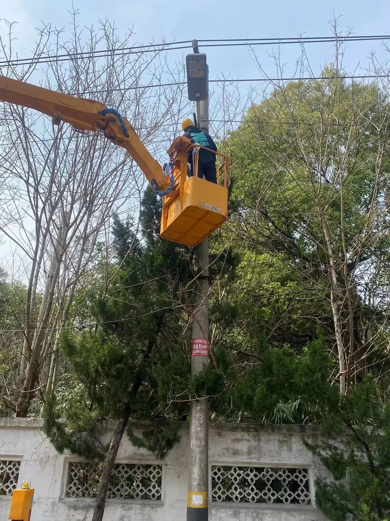 172037scjk9yy36abbx10a.jpeg