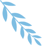 171918uagcczutma96meuz.png