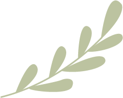 172321afpxdfdk2sllspzr.png