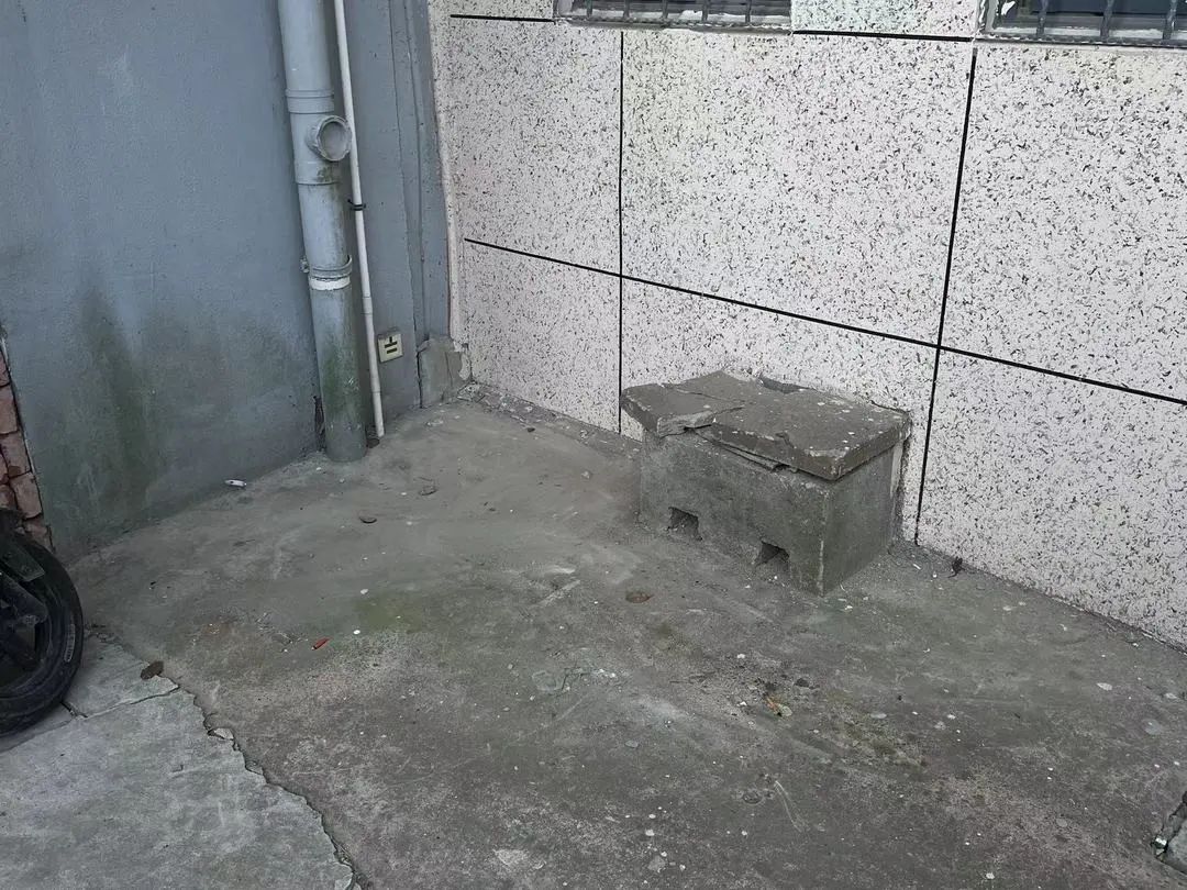 172341kl6fcefk9ck29lly.jpeg