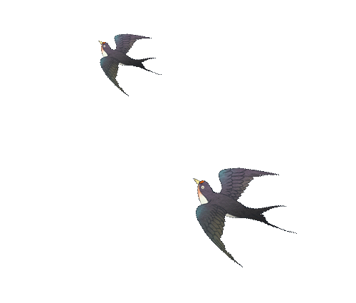 181156g7k1qqbu41zq1a48.gif