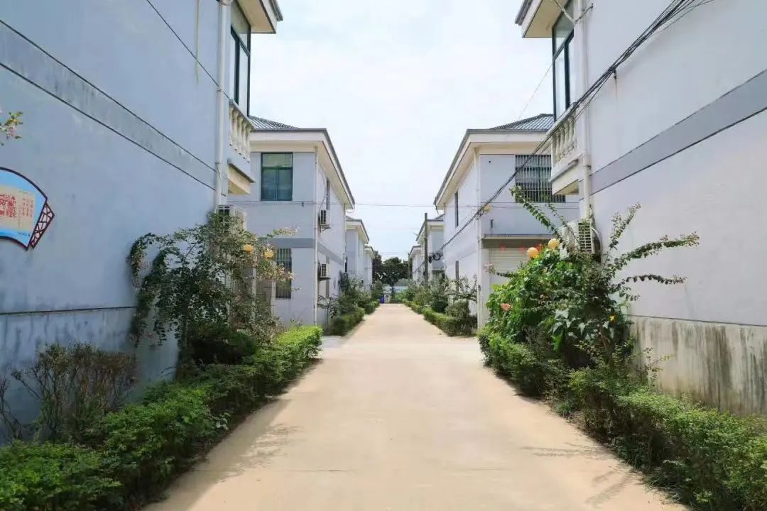 121826o6xp6ptarw2xpw2t.jpeg