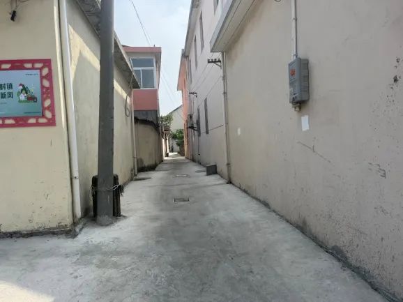 083404sxo8nxztvxb8j8tx.jpeg