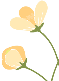163014g38zx8pxa8ucuibb.png