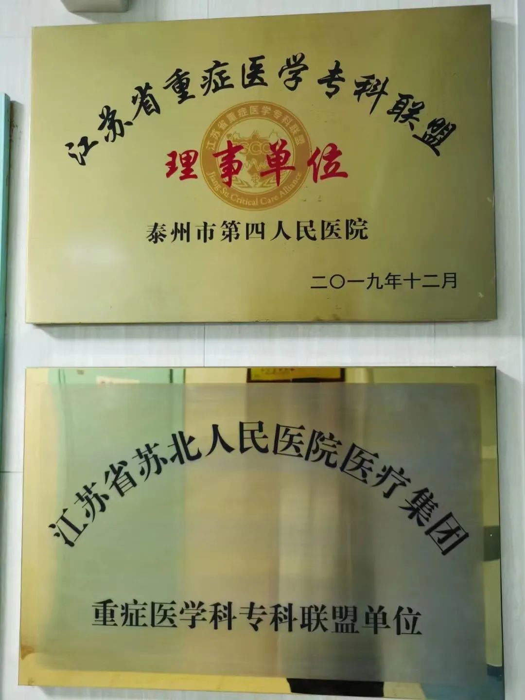 164327wcc5uilbq4082h8u.jpeg