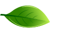 112329zuv3dmb9f5u81626.gif