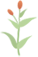 172644hxus6vil6losronc.png