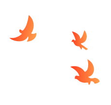 172916dn66qz7hn2j2unku.png