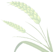084447t20646n6yn22th4j.png