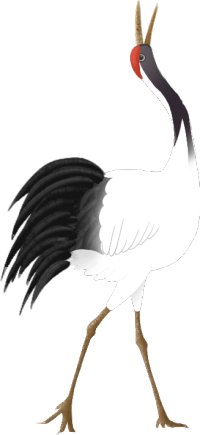 163911vcccbxnicacxqjjj.png