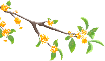 164058it5hpkkkm7jpnlln.png