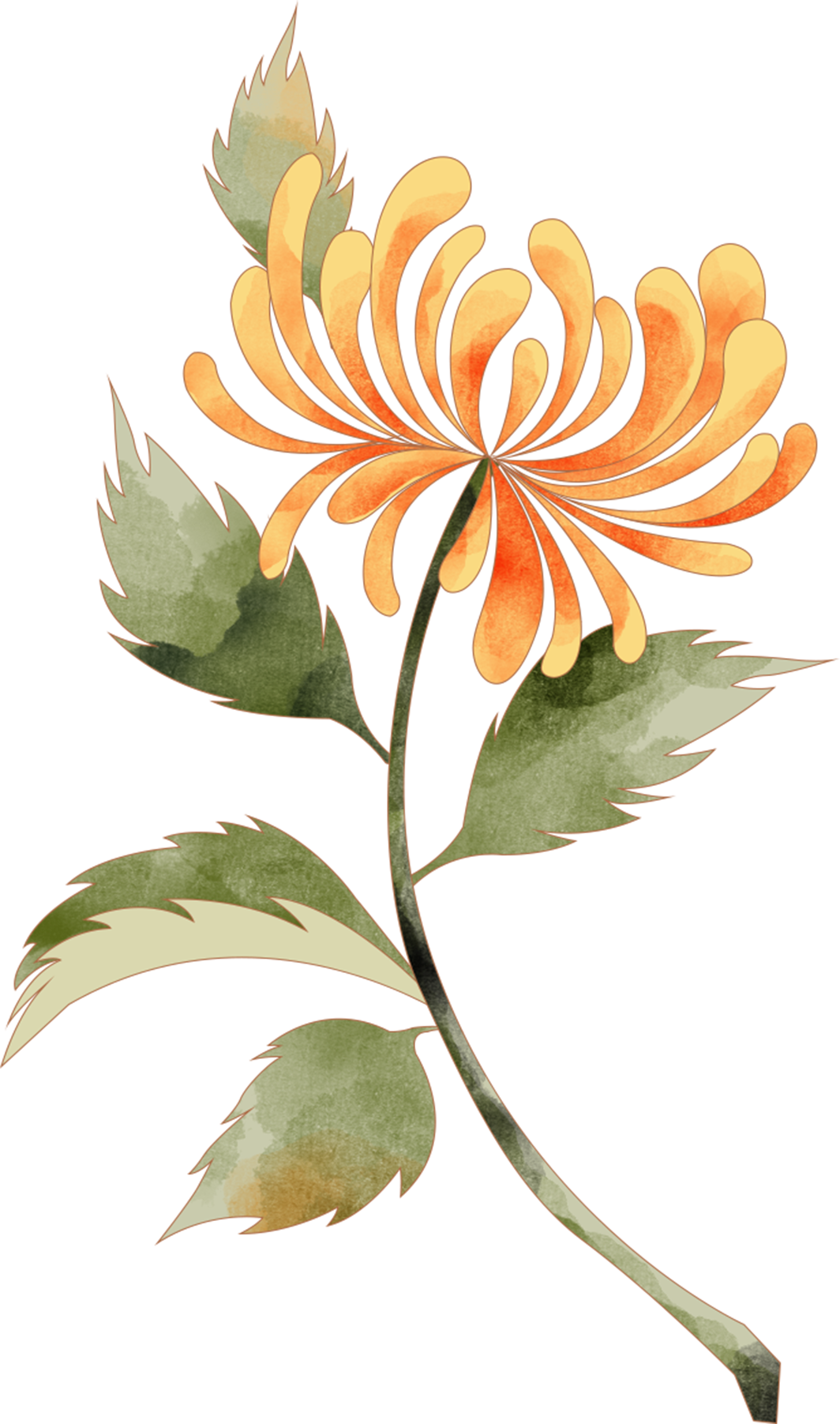 174943uxyz1a4m5m31855w.png