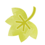 085016hssokd01ayo9k220.gif
