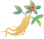 170704s49ghgpmp9097zgg.png