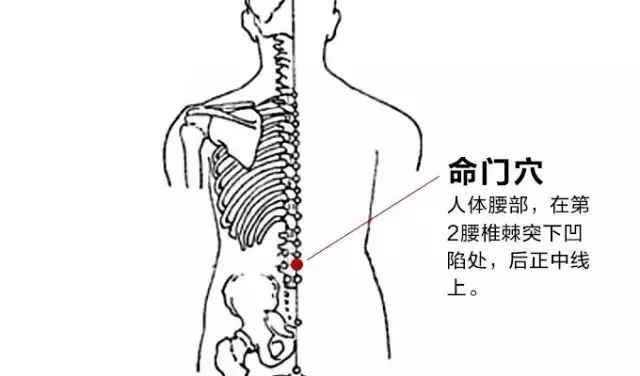 091307c428zr0c44r0rg0s.png
