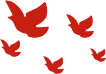 133557kj11jfxlv3rlxve5.png