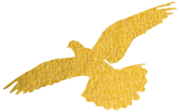 161634i168z16oeqe7w57q.png