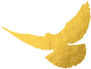 161634pwgcrcqrph5c3lnw.png