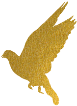 161636e1p33m0xx5qu8xqh.png