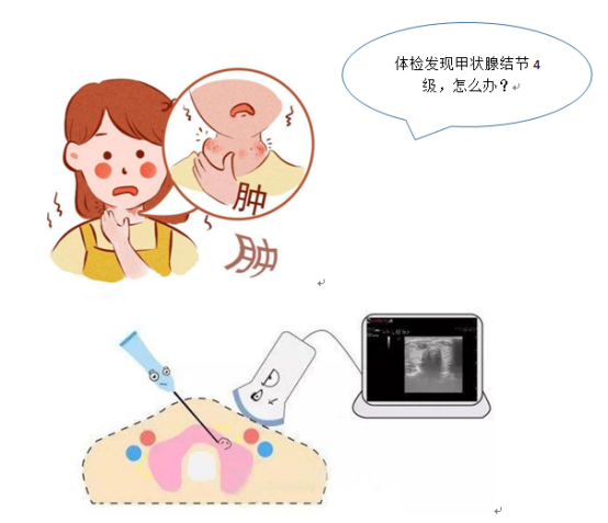 174237jgygb2y66pf724g6.png
