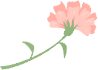 090548nwu402tug008dfwf.png