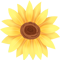 171934so5akf77rfxmd91k.png