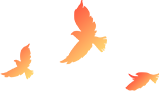 144129s6xhtge66zt2xnkv.png