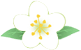 164919wzmg88ewjbbhe2bp.png