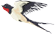 114646syx56of7ugvu7xxo.png