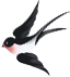 114647tn2e42arvqbk9rln.png