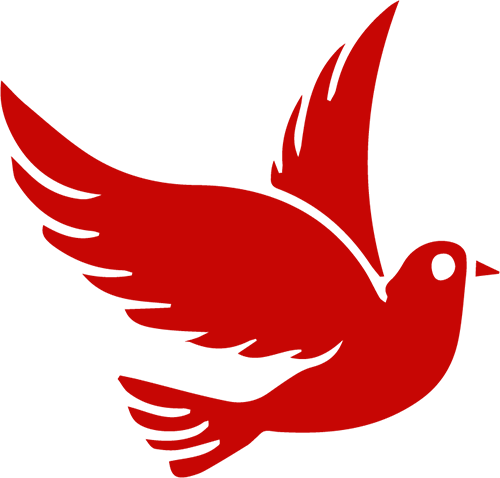 172410p59883zo6o566885.png