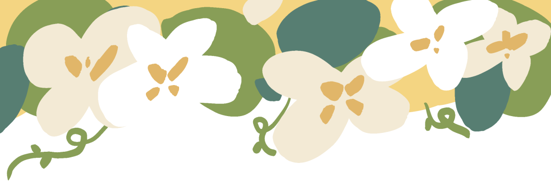 083349zxbx9gab6an669zf.png