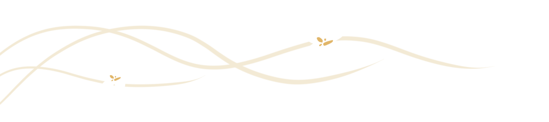 083357n3ixt3vphtil7h4p.png