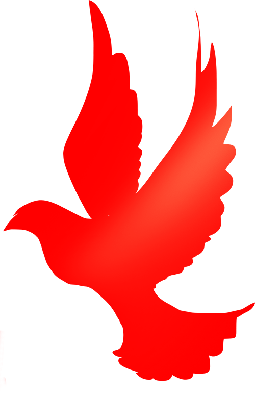 163403chzrkrghalxax6x2.png