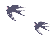 171041pe80bf2f87f22u8o.gif