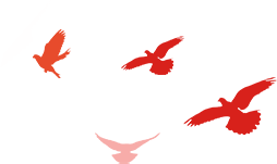 102337dylxuhjtdldlhhxr.png