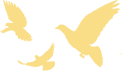 173201evreqefezh2wsvfz.png