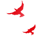 175345km5ci0k3njj58yjt.png