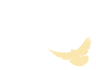 092545gux0ldzu8js8udzj.gif