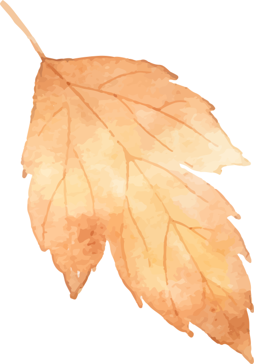 100058kad77kupeprpykpp.png