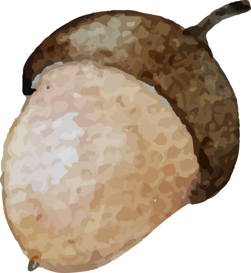 100059w57zzt705stz7eve.png
