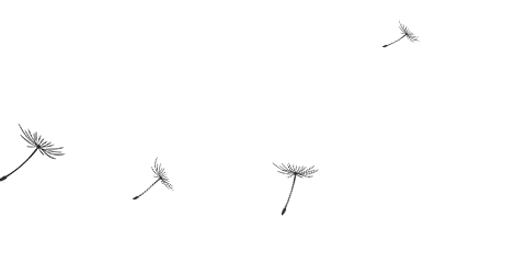 092601nc808878t88tbrl4.gif