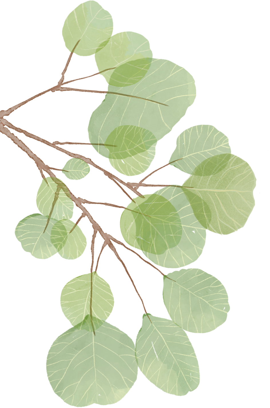 170959sdef2q0zytdqstwb.png