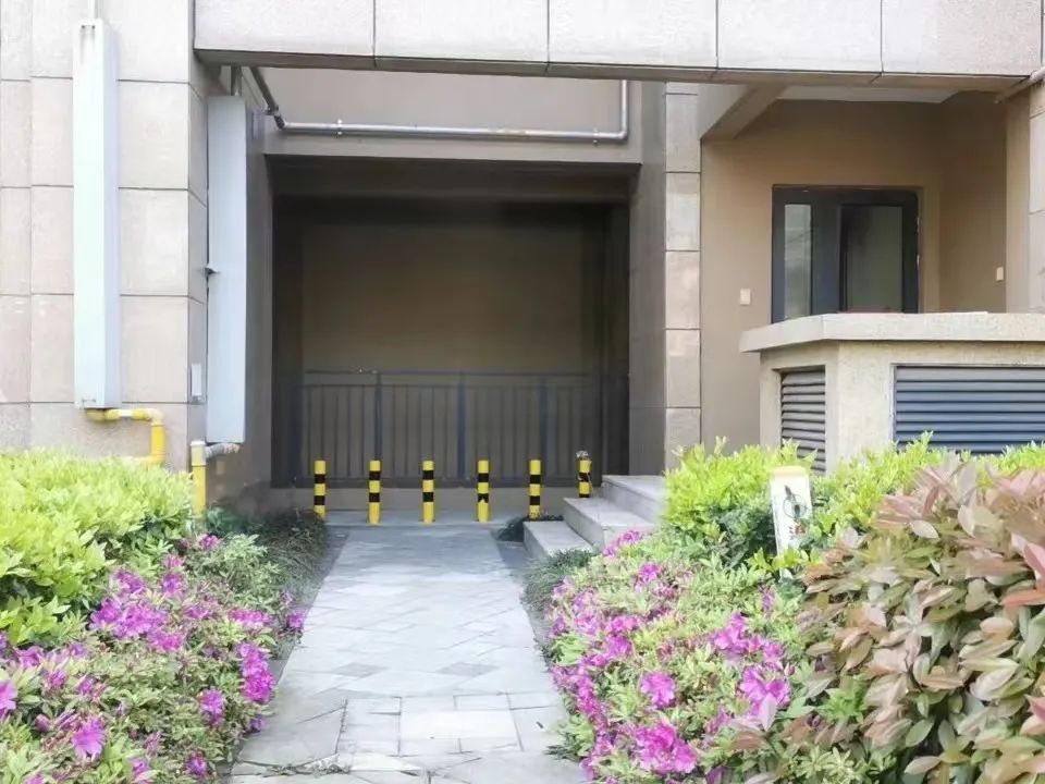 082631sm77kg2lzhdllfmn.jpeg