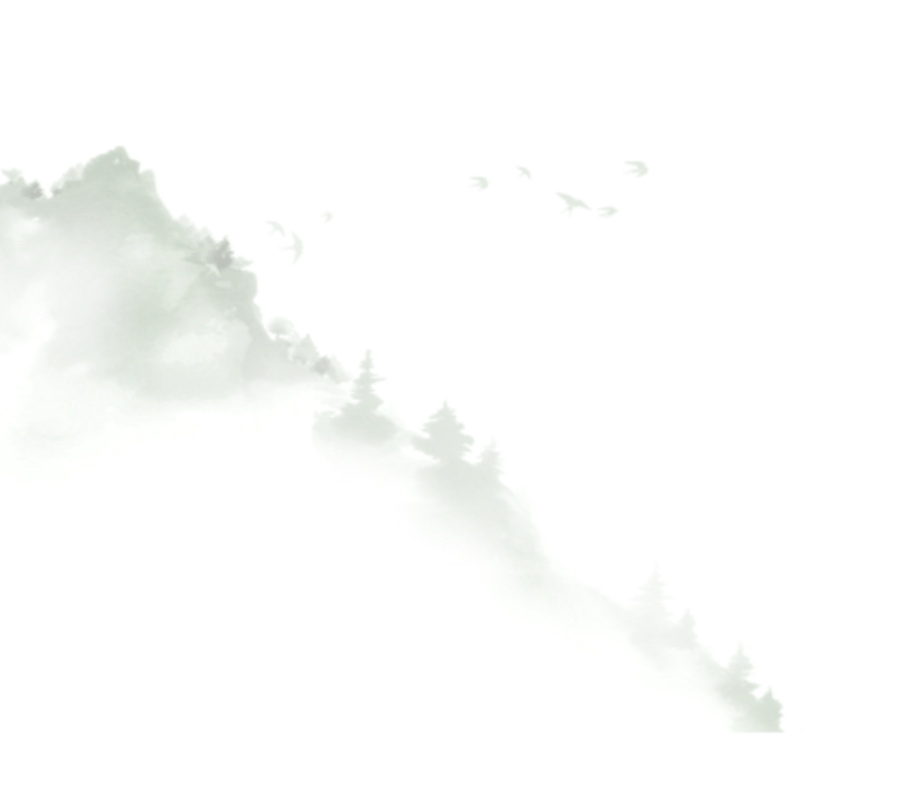 102836vtneinp0n77ffbmf.png