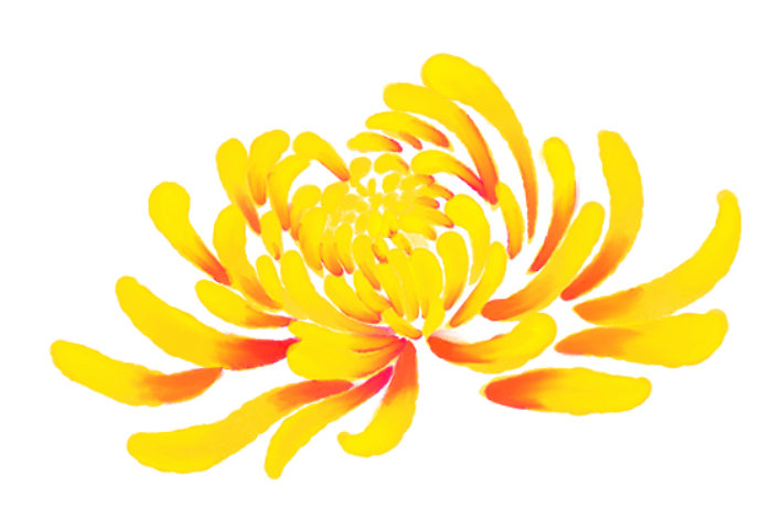 093846z2k4hh3byubfkonf.png